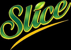 Slice